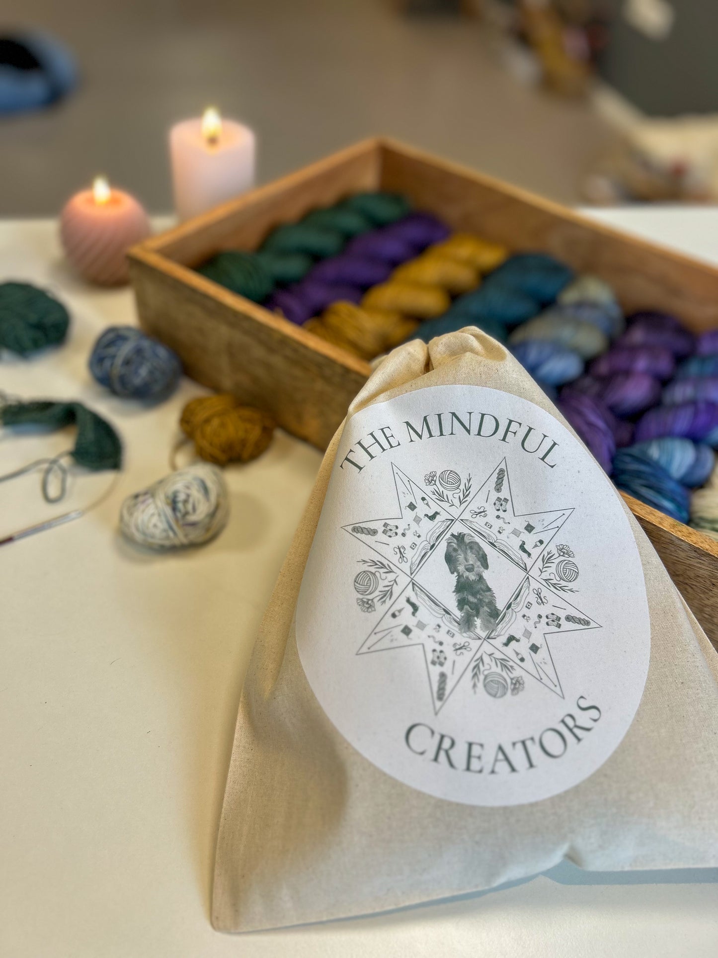 TMC drawstring project bag