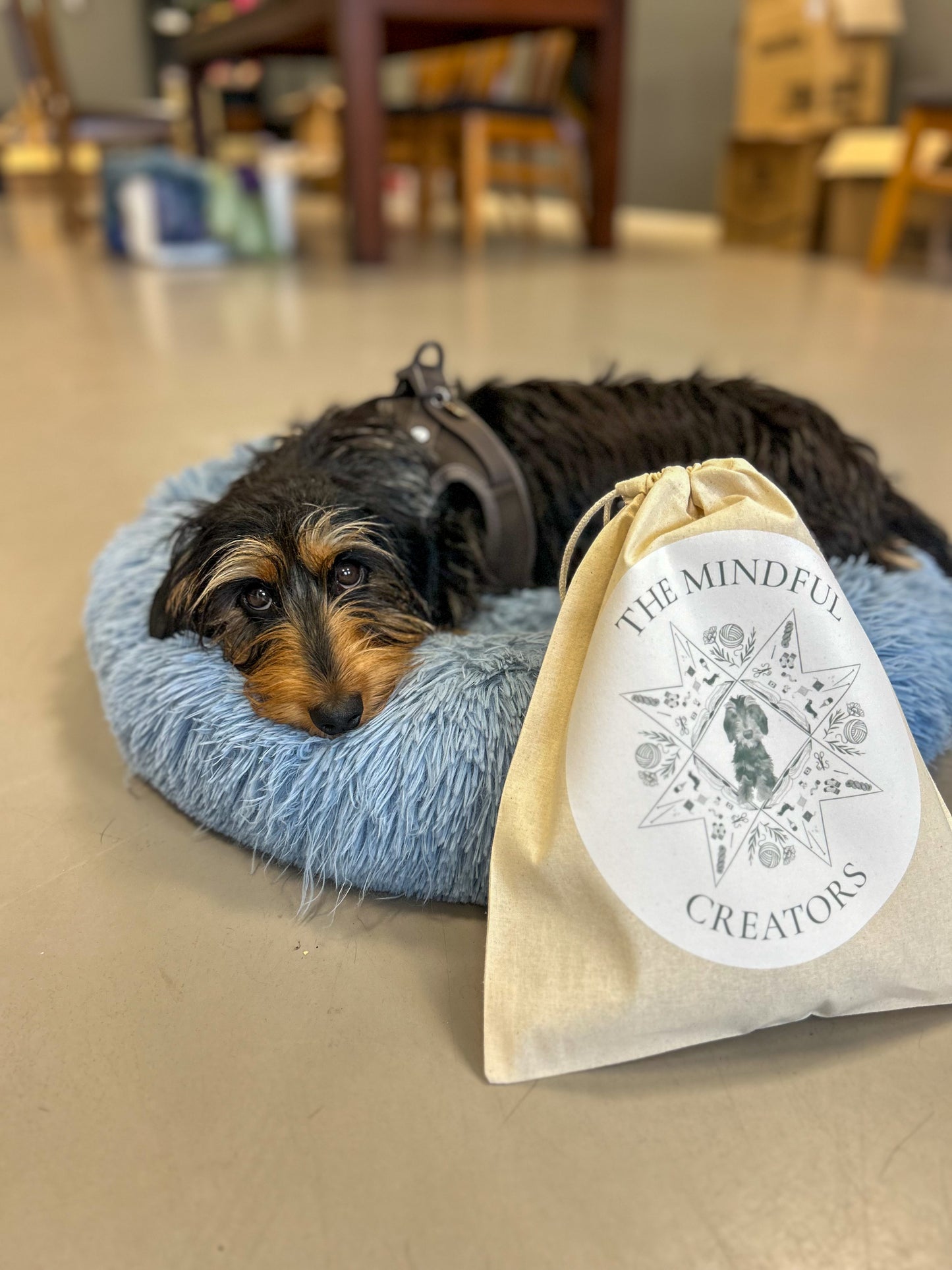 TMC drawstring project bag